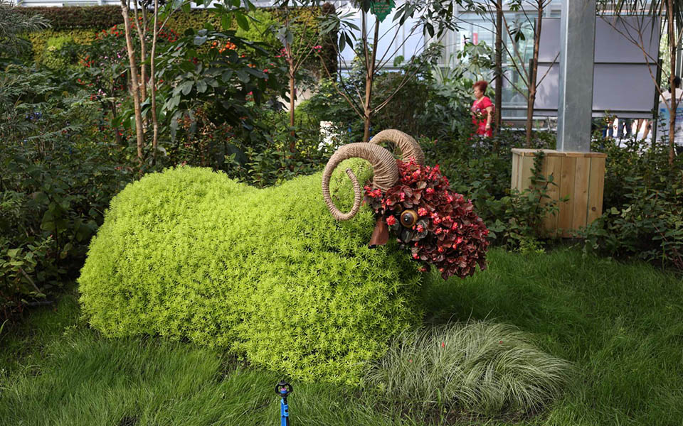 这个夏天，来一场***美的邂逅