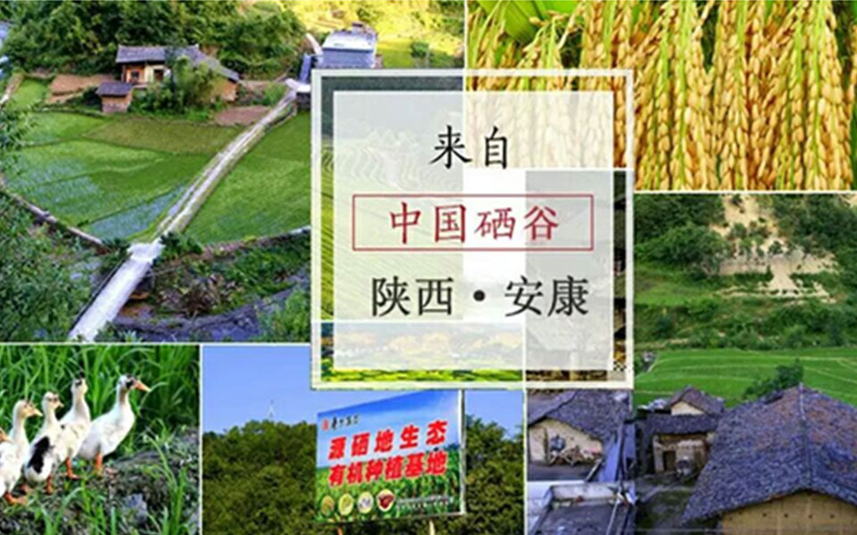 选择大于努力，转给您身边的朋友吧