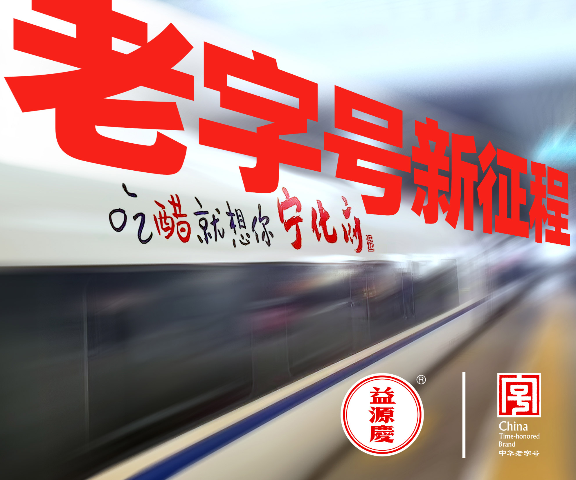 宁化府 宁化府